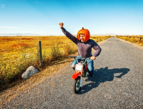 Use Your Gourd, Wear A Helmet: Why Head Protection and Helmets Are Essential